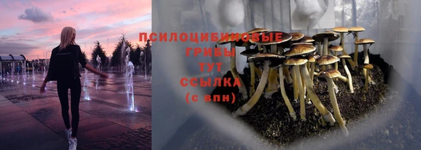 стафф Алексин