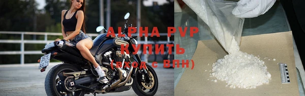 стафф Алексин