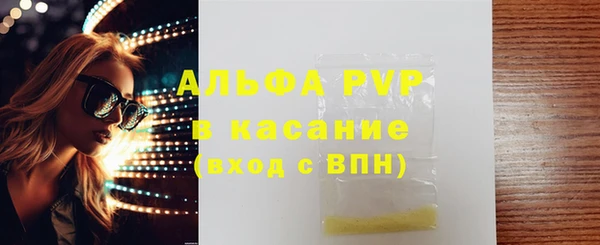 стафф Алексин