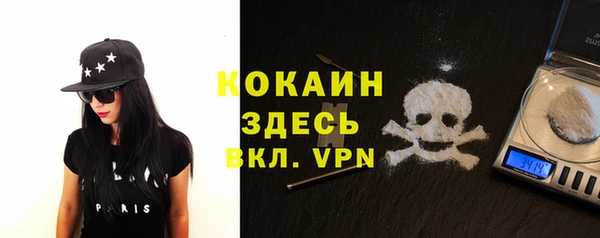 стафф Алзамай