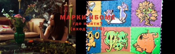 стафф Алзамай