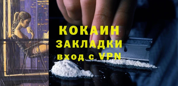стафф Алзамай