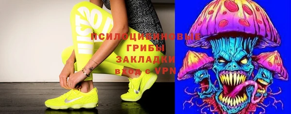 стафф Алексин